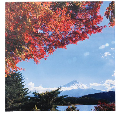 尺0.5角敷膳 紅葉と富士山